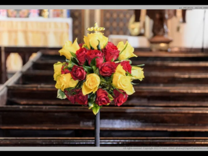 Pj 20220531 102338 0006