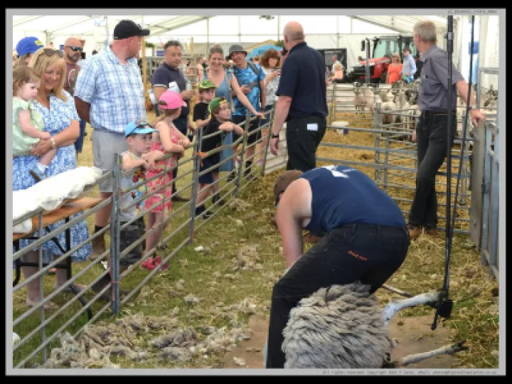 Pj 20220622 135411 0004