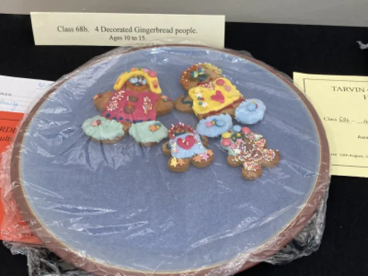 THS 2022 Decorated Gingerbread IMG_0131[358005]