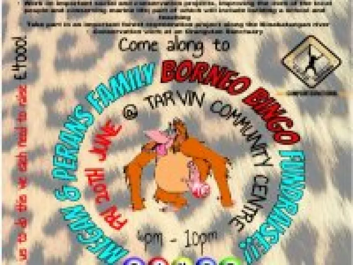 Bingo Flyer