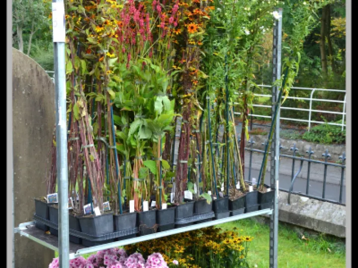 Pj 20220910 100017 0003