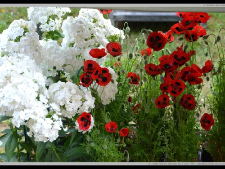 Pj 20220910 100226 0010