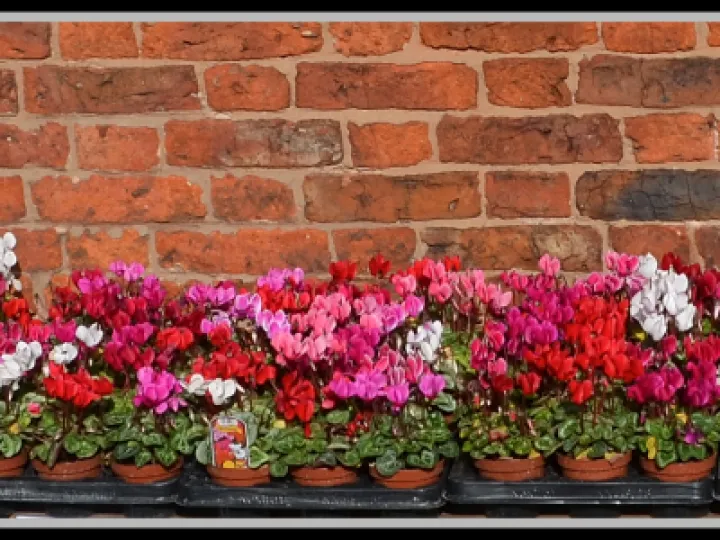 Pj 20220910 101123 0017