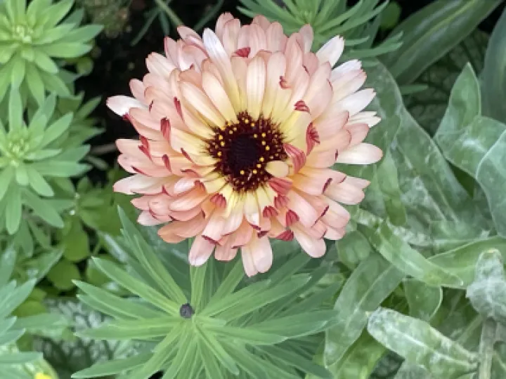 B6ED1420-94F4-4EB7-B11C-E76D6FF469AF