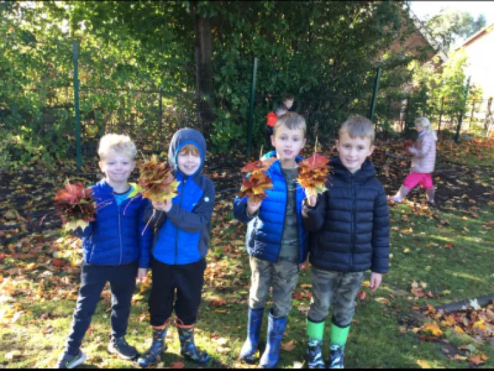 Forest school
