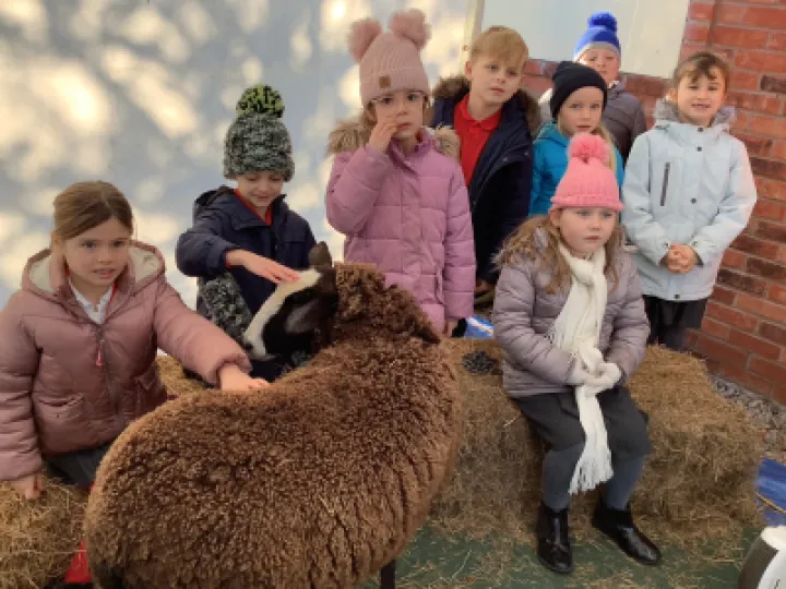 Screenshot 2022-12-08 at 13-46-10