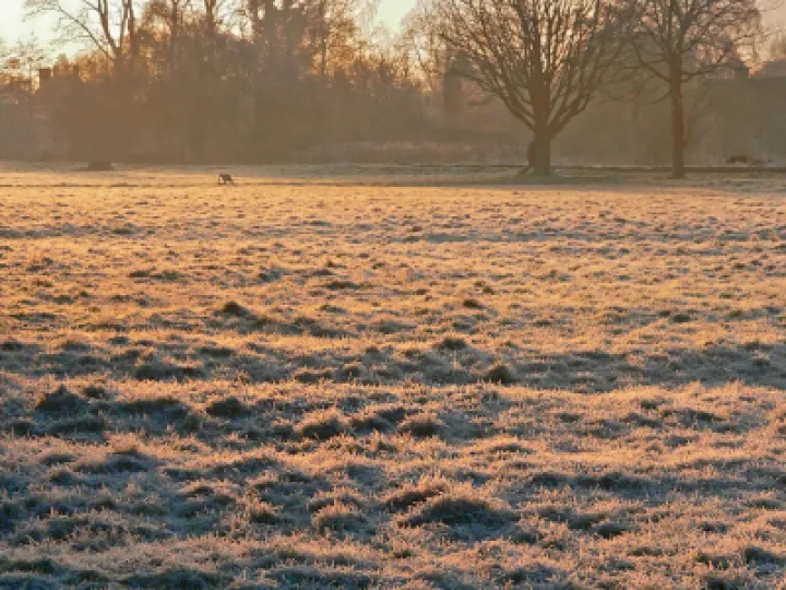 #At the end of the day_P1270076