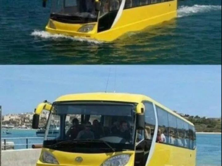 bus