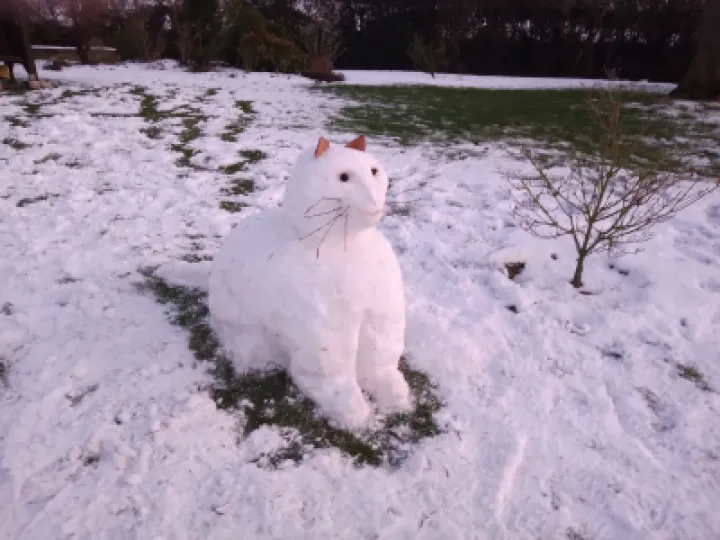 Img_20230119_164607529