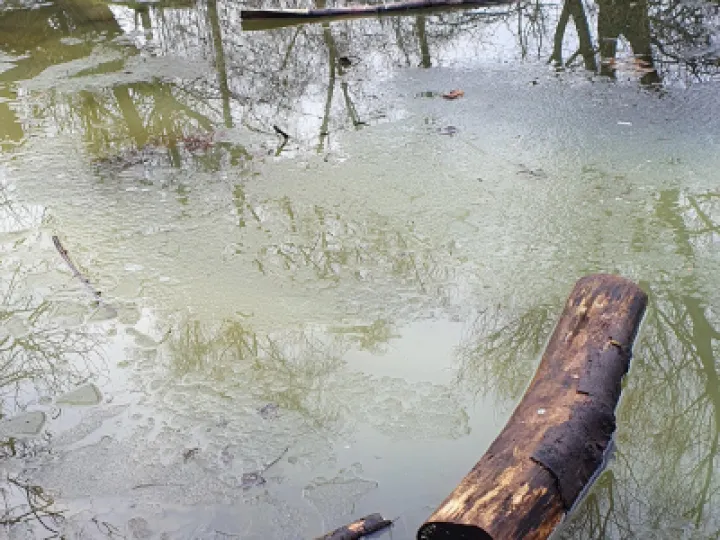 Vandalism at Snakemoor