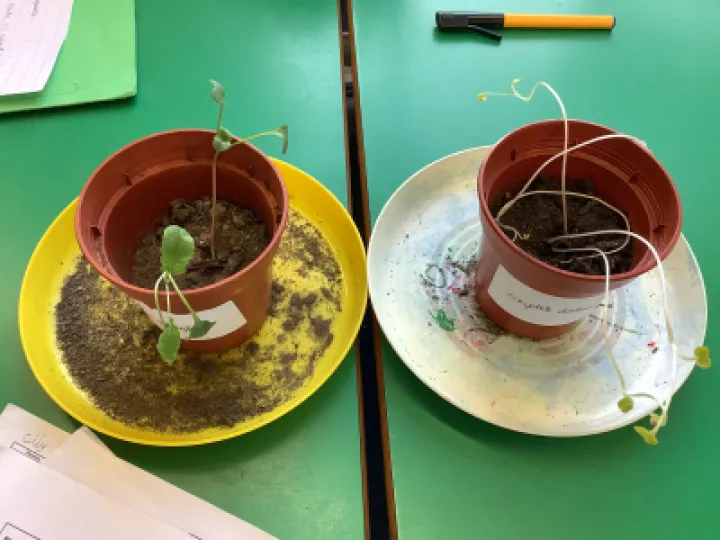 65523C61-49FE-4C6D-AB89-E69618525FF0