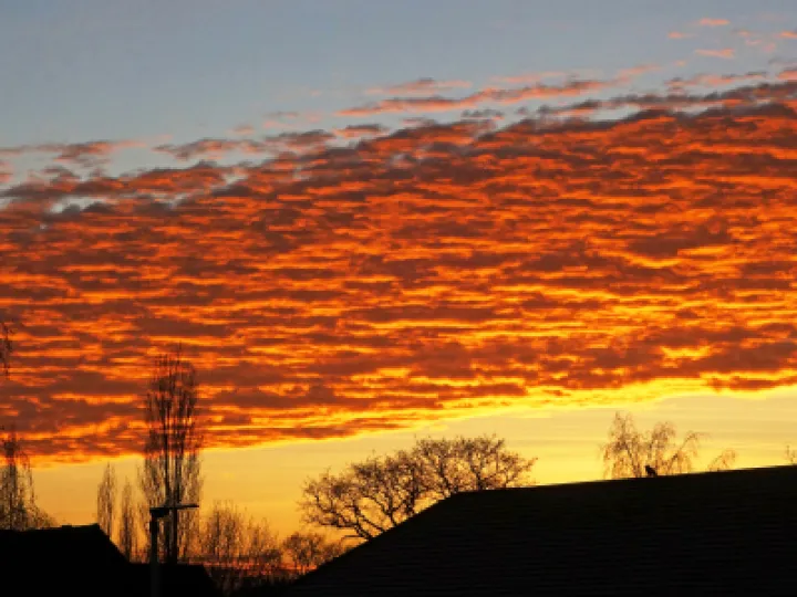 #R Band of Fire s01915