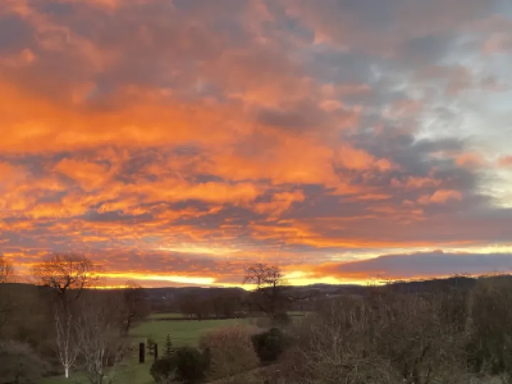 61F09EB6-EDD0-48CF-ADB4-9239366004F0