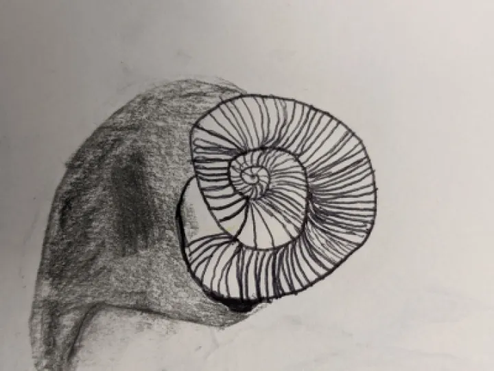 PXL_20230301_162520541