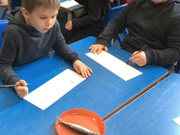 Screenshot 2023-03-07 at 09-46-12