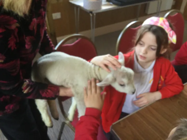 CD018766-1D60-4EA1-95A3-63CC357F0209