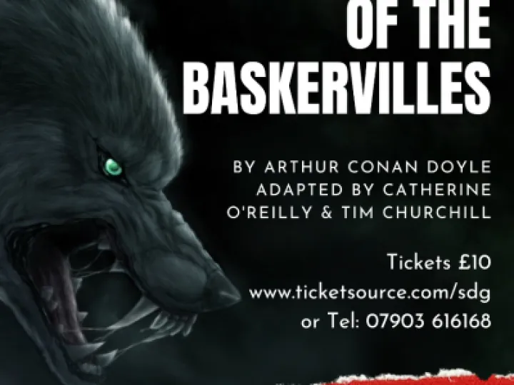 Hound of Baskervilles