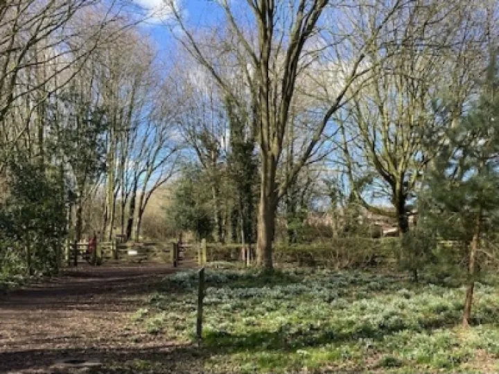 Keith Barker Photos March 2023 Be8da56c 5ef2 4d76 b0c9 c9441e414130_4_5005_c