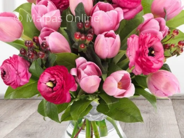 Susan Harris Flowers