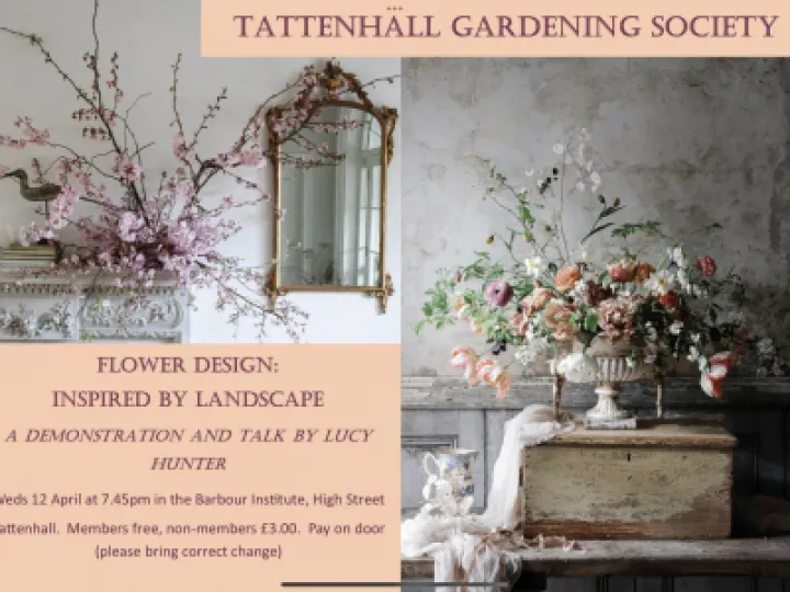 801AD7A7-AF4D-44BF-BA19-2B11978A275E