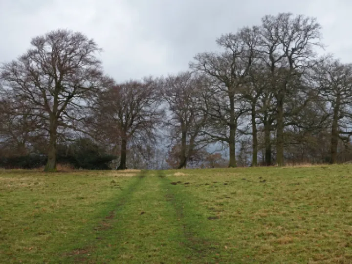 #R Outward Bound s01986