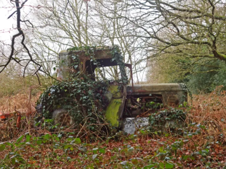 #R The Power of Nature s01985