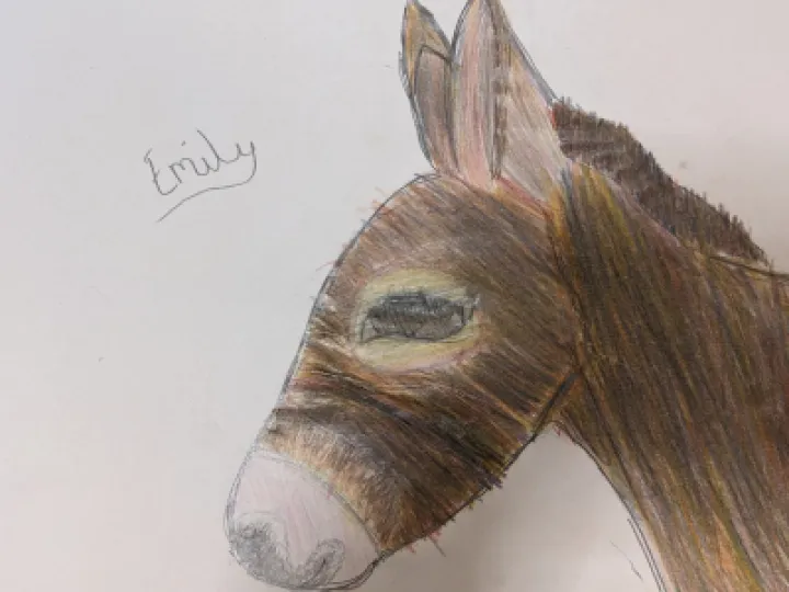 PXL_20230417_115232888