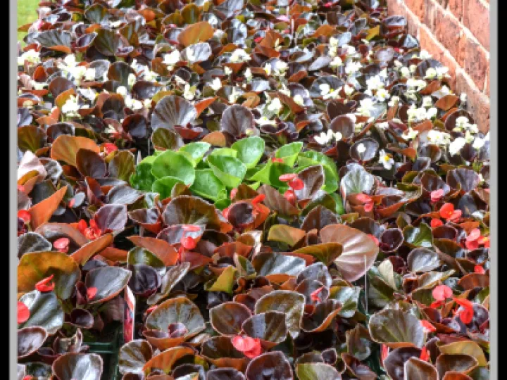 Pj 20230429 121128 0021