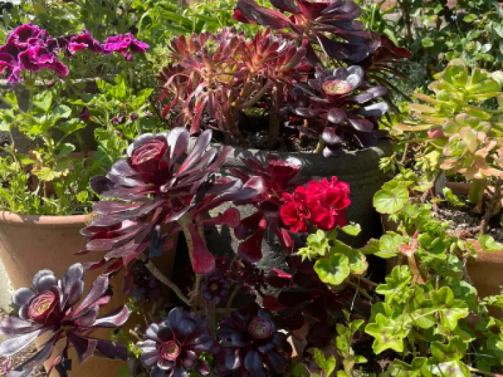 20CD4CCE-9B6B-4784-822E-72A650D0FC8B