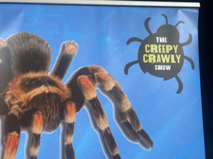 Summer fete 2023 – Creepy Crawly show