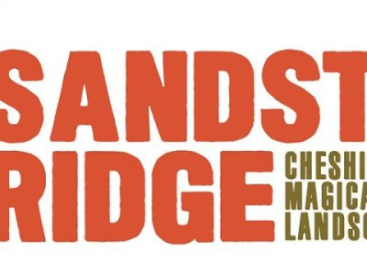 Sandstone Ridge logo