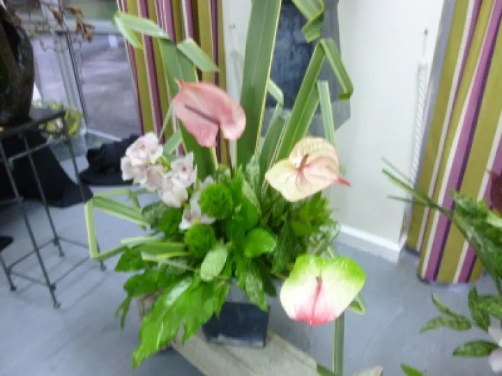 FLower Club July 2023 P1040292 (1)