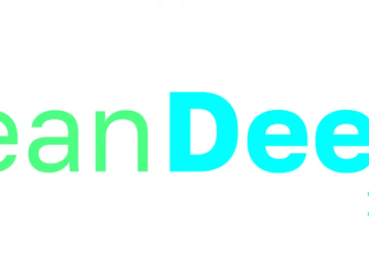 Clean Dee_Logo_Col