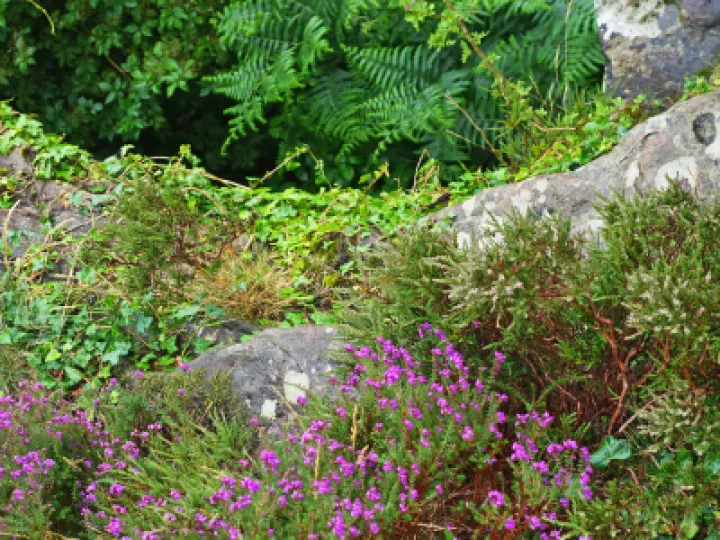 rr Life on the Edge-2_s02462