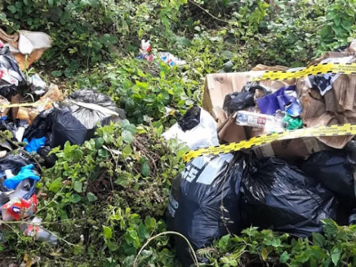 Operation Fly-catcher in action last week.