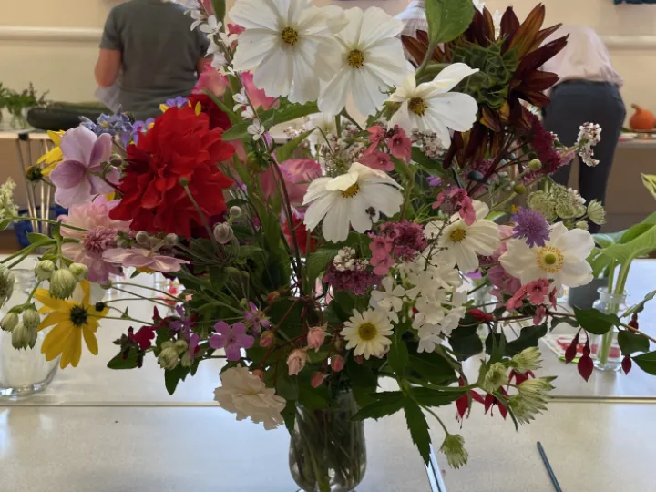 3B19545F-3917-4278-956B-72BEAFB76ECC