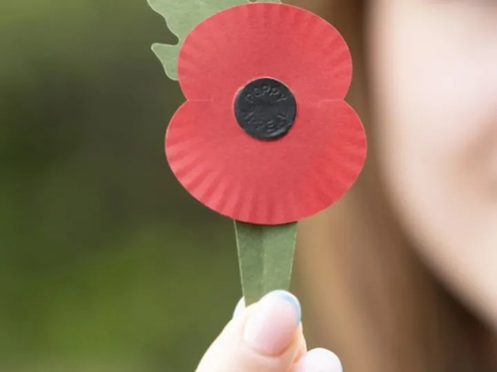 Poppy Appeal