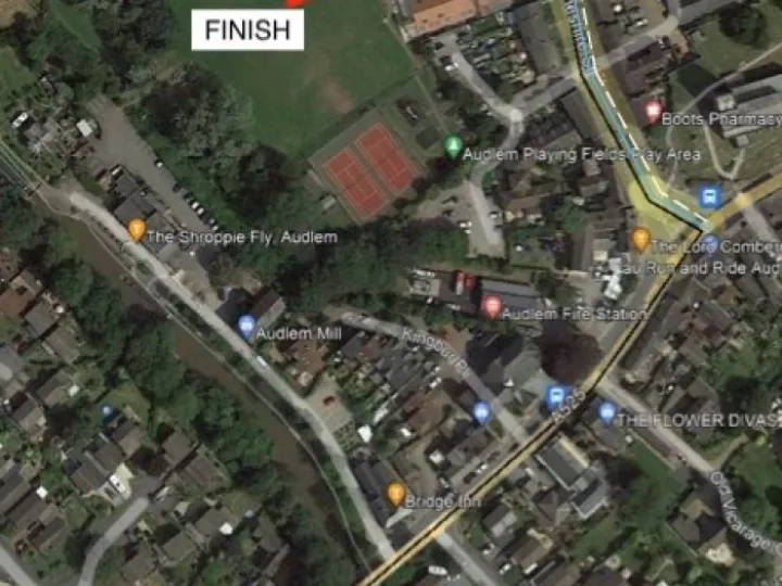 Village Protest March