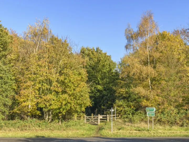 Image: 20231111 103601