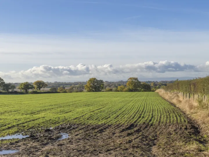 Image: 20231111 104545