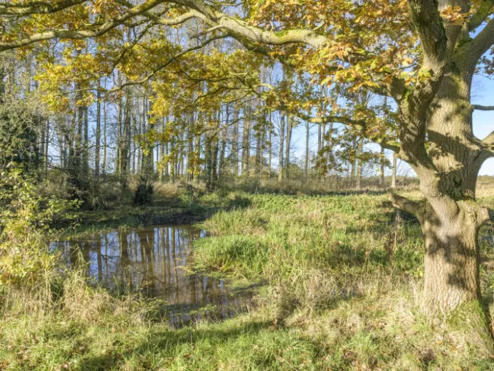 Image: 20231111 112910