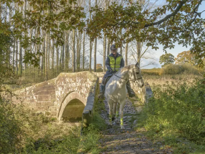 20231111-110643-Enhanced-NR