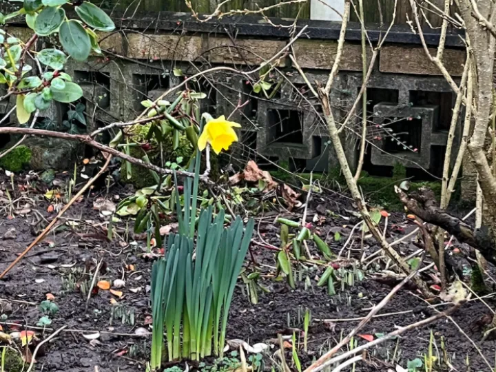 Spring has Sprung !!