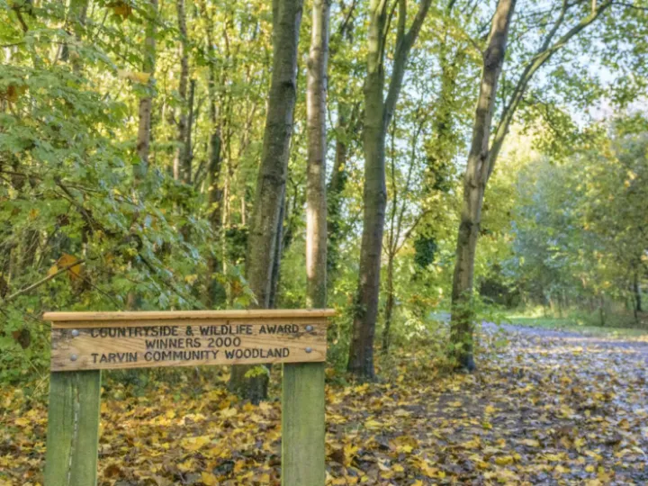 Tarvin Community Woodland