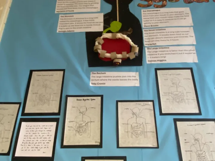 Photo-2024-03-04-18-06-34[1]