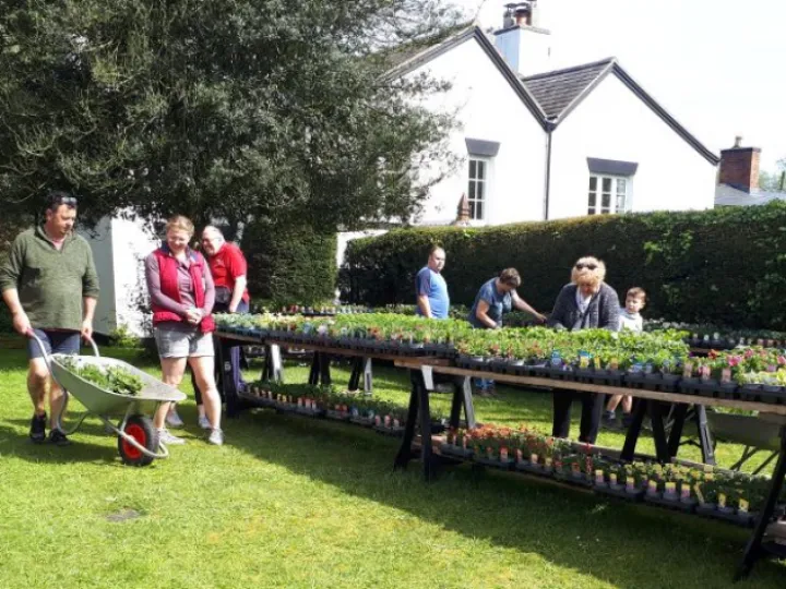 Plantsale20240505_103827