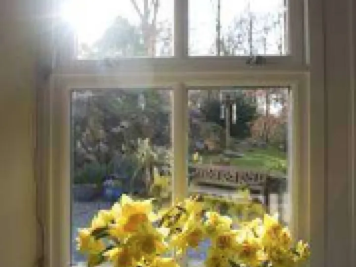 Sunshine Window