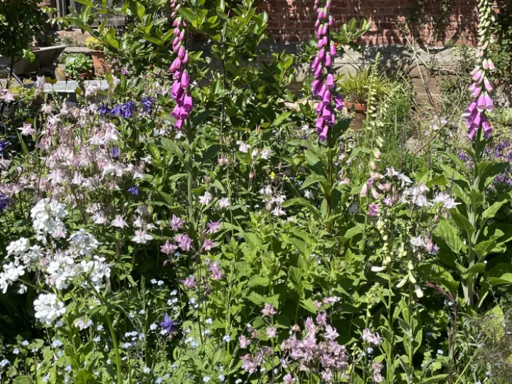 Open garden
