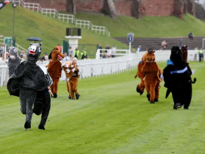 Hospice of The Good Shepherd Pantomime Horse Race