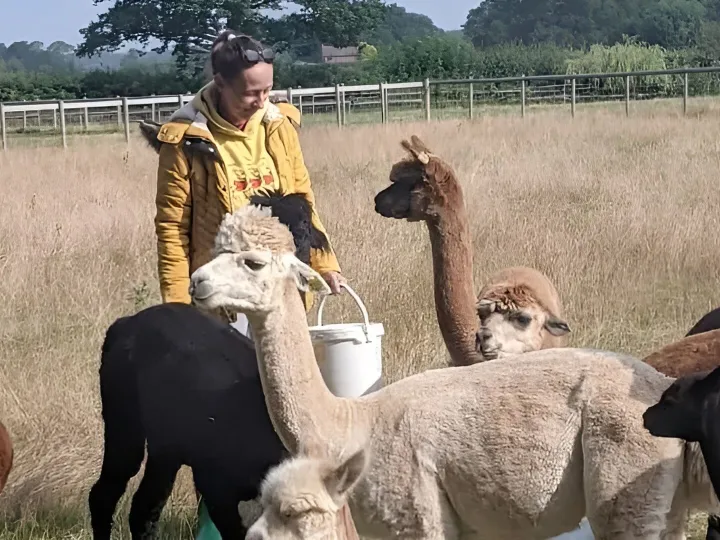 Alpaca Keeper Experience 2